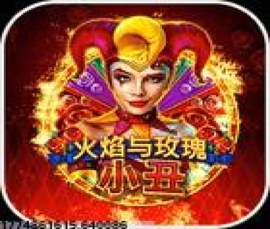 猫和老鼠官方版