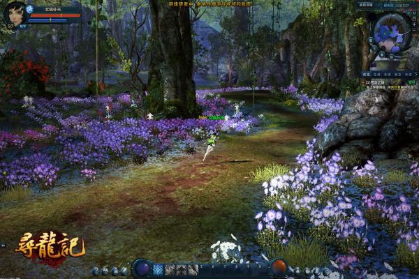 宝可梦剑盾暴鲤龙最佳配招方案(图1)